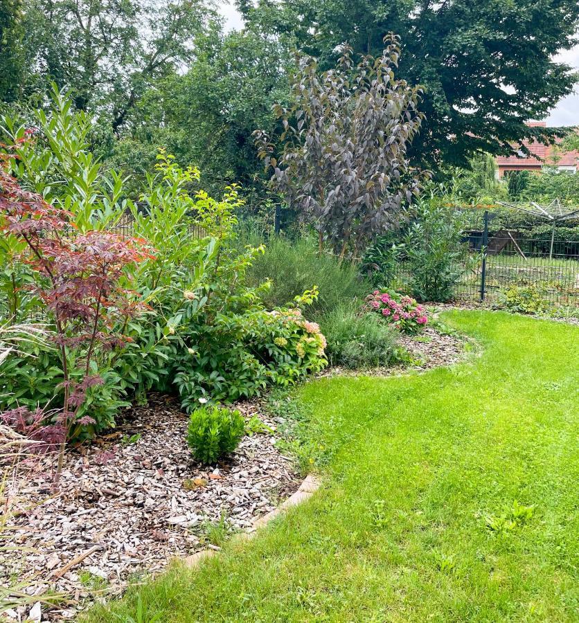 Ferienwohnung Kamrath Mit Wunderschoenem Ausblick Neuruppin Εξωτερικό φωτογραφία